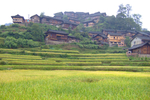 乡村风光