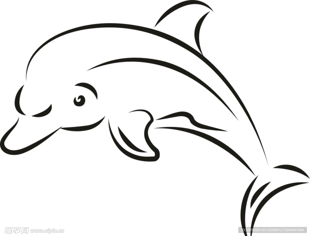 线描海豚