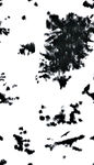扎染