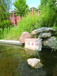校园图片 校园风光 校园操场