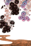 菊花 免抠素材 PNG