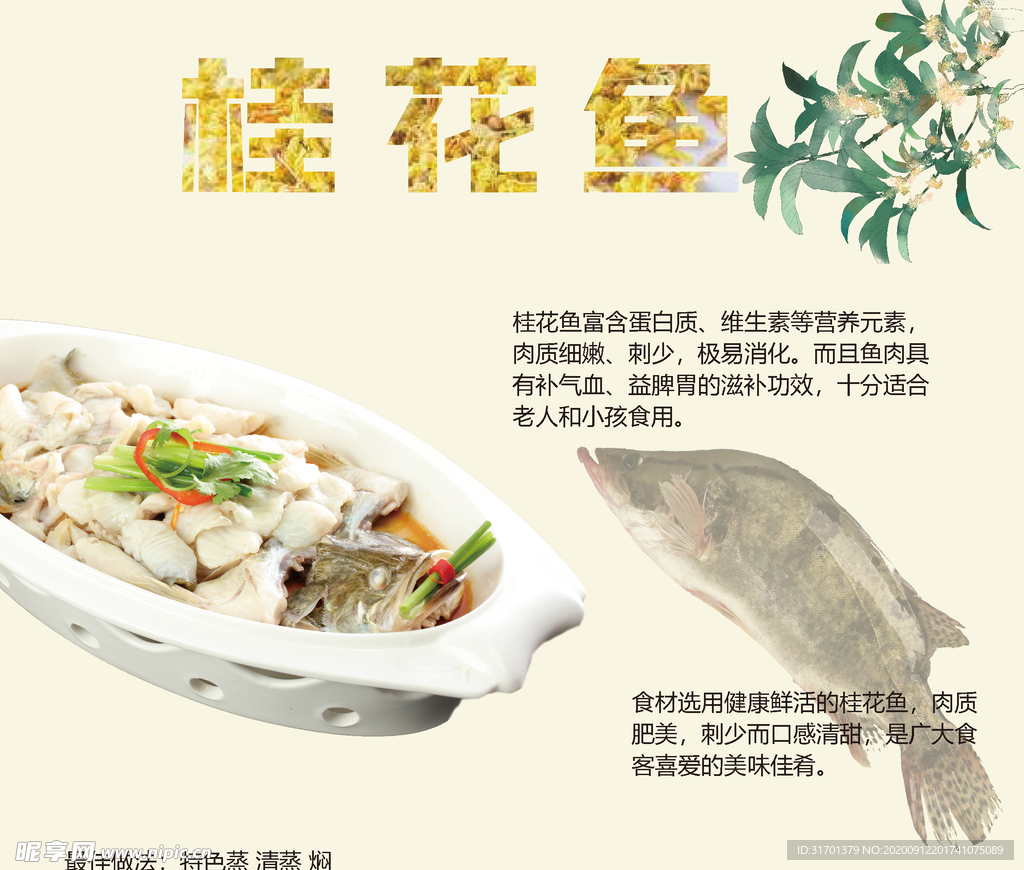 桂花鱼海报