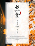 秋分海报