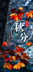 秋分手机海报