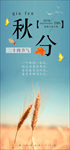 秋分手机海报