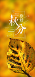 秋分手机海报