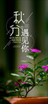 秋分手机海报