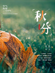 秋分海报