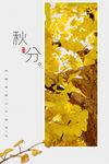 秋分海报