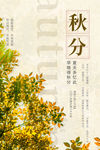 秋分海报