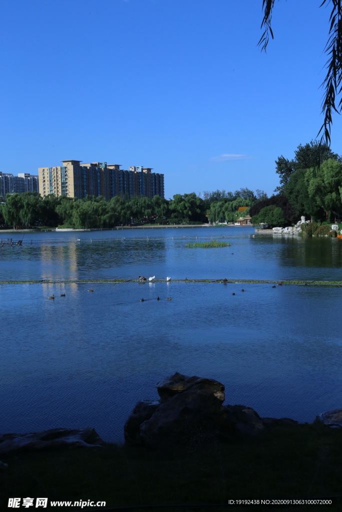 园林风景