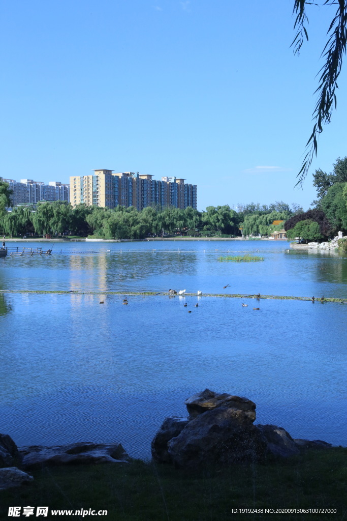 龙潭湖风景