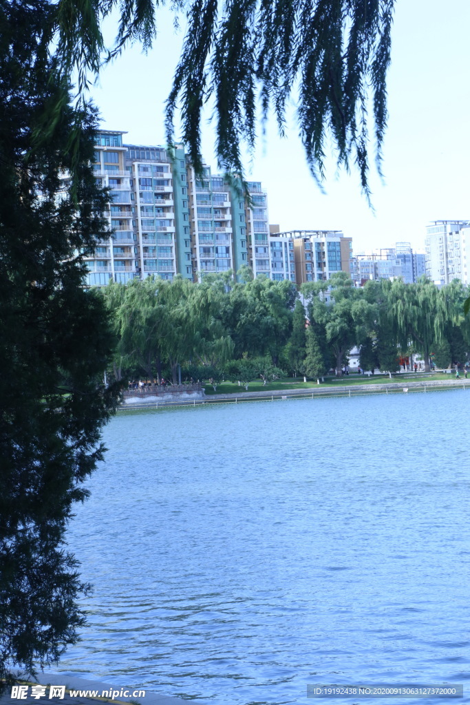 园林风景