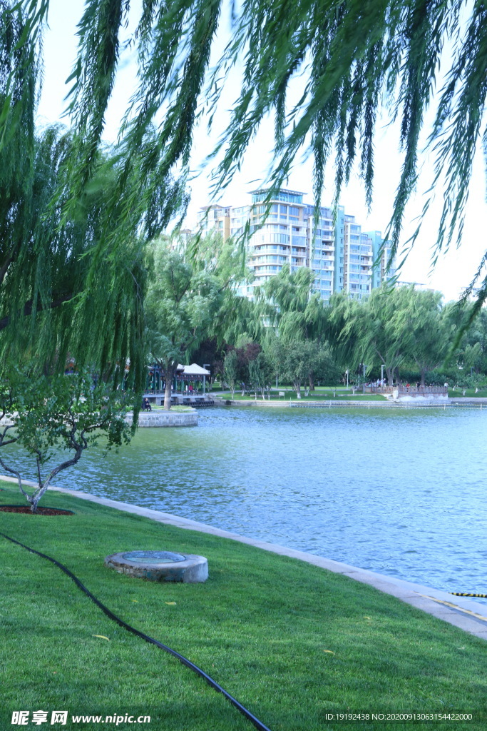园林风景
