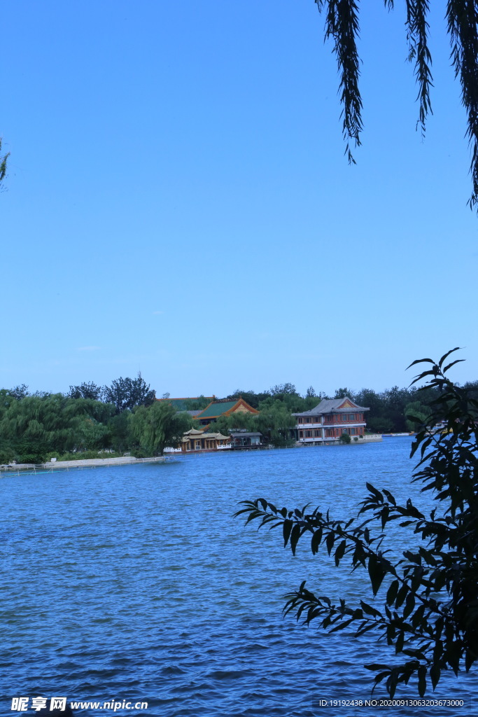 园林风景