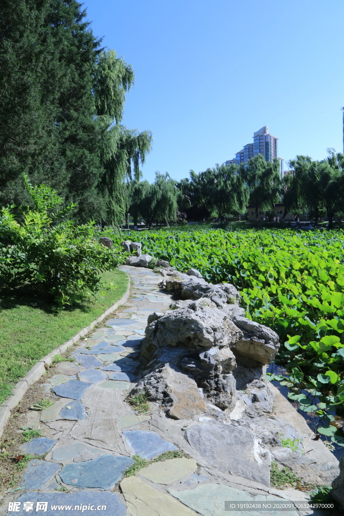 园林风景
