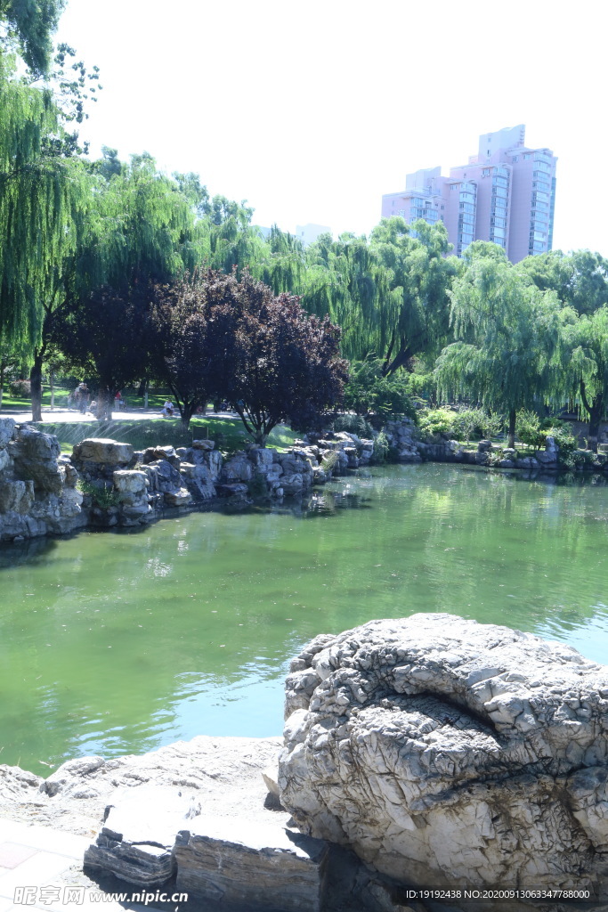 园林风景