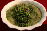 茴香