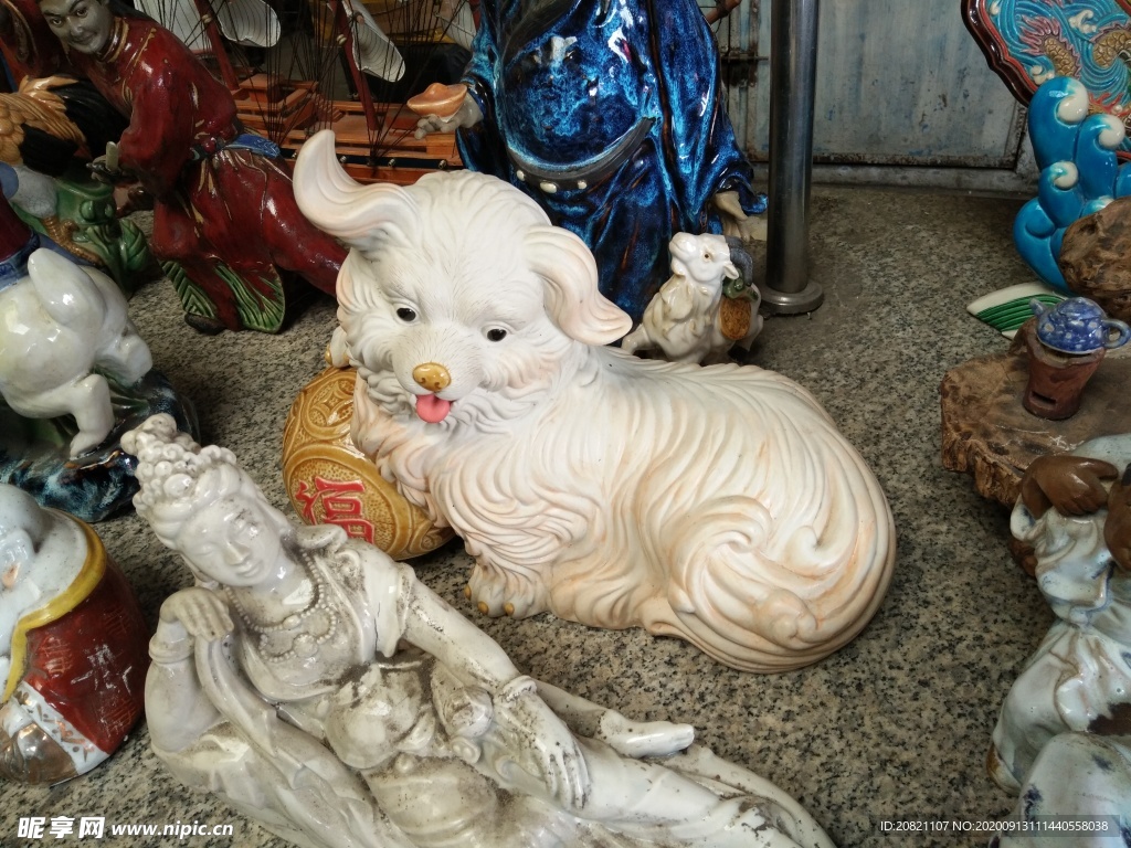 宠物狗