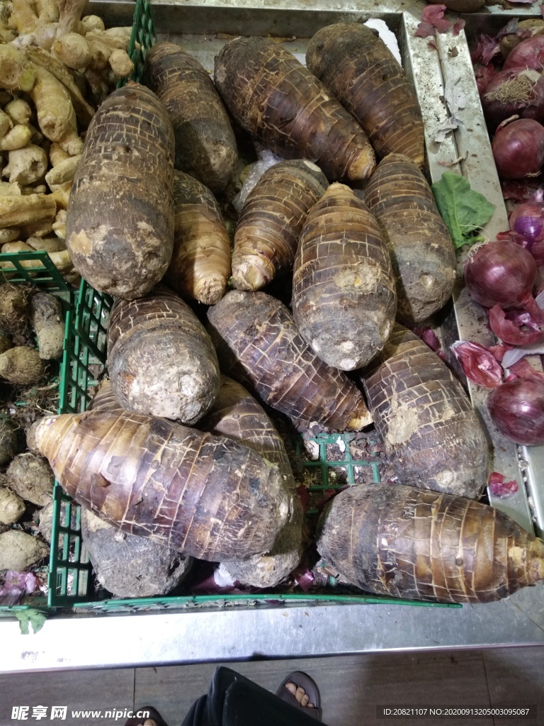 生芋