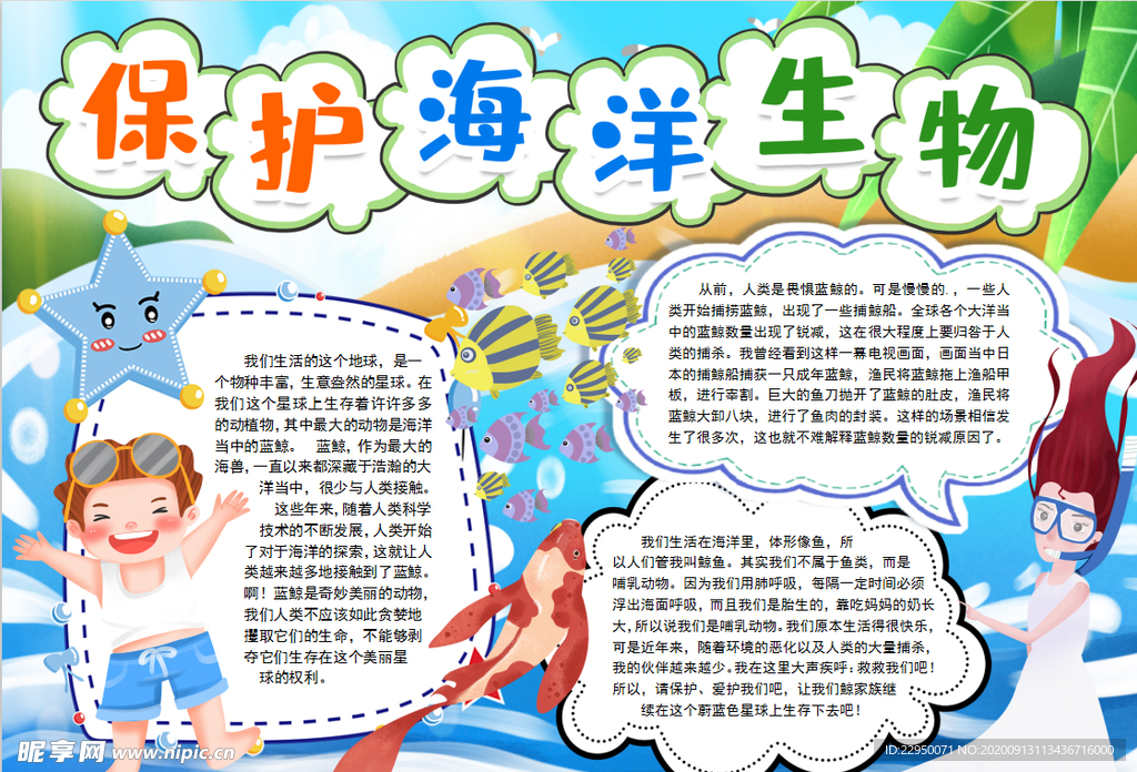 海洋小报
