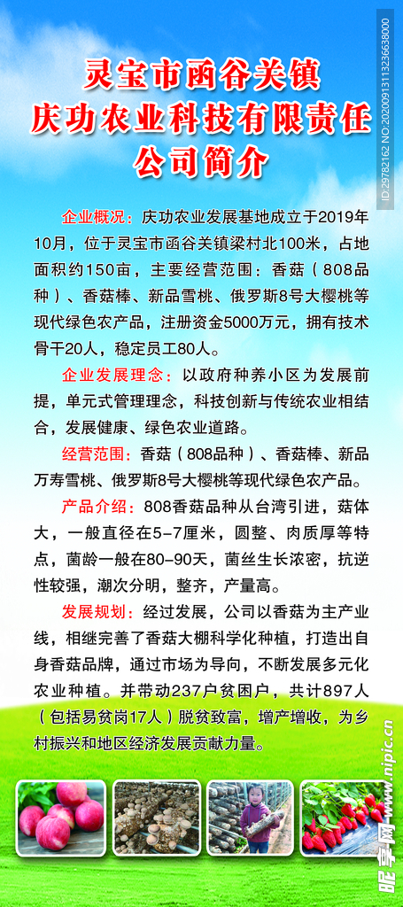 香菇展板简介