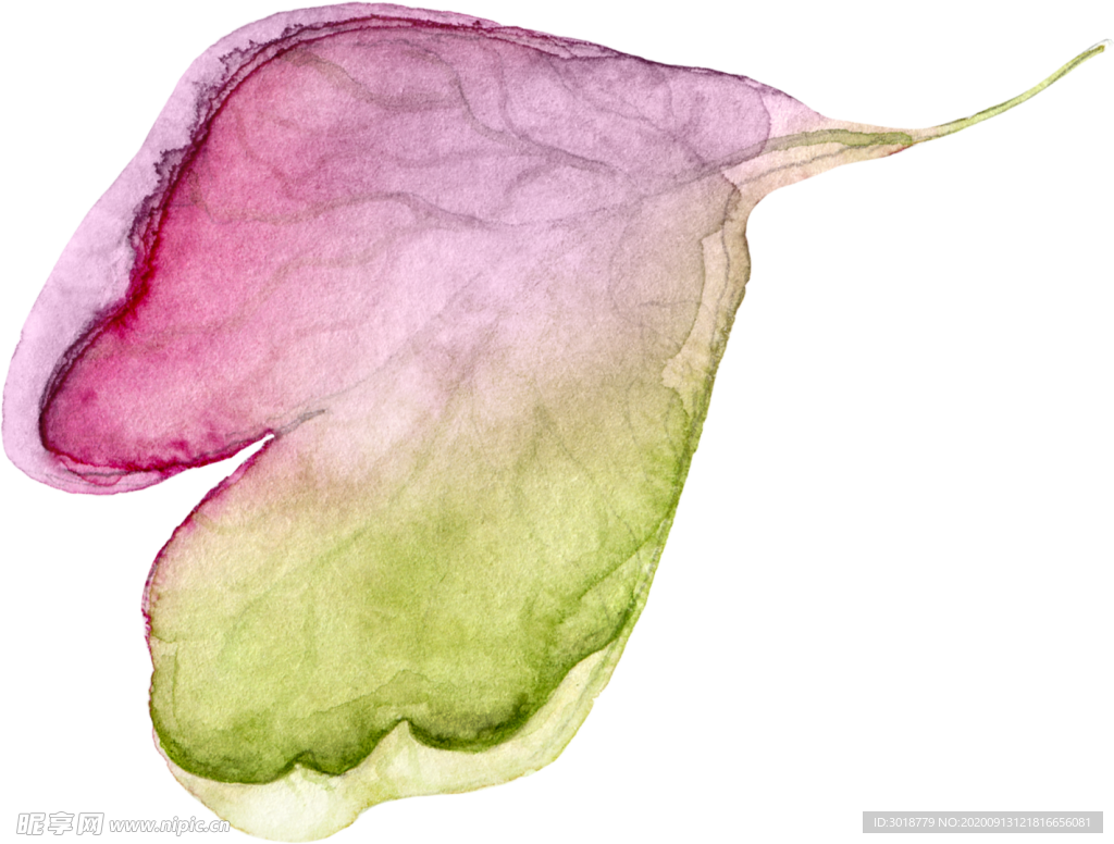 花边