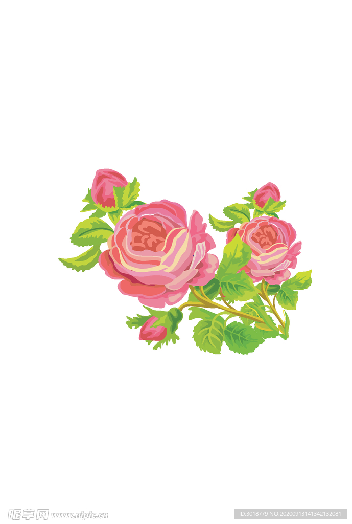 玫瑰花