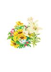 鲜花印花
