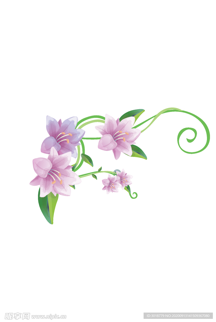 鲜花印花