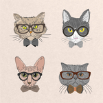 猫