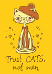 猫