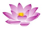 莲花 上玖
