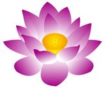 莲花 上拾