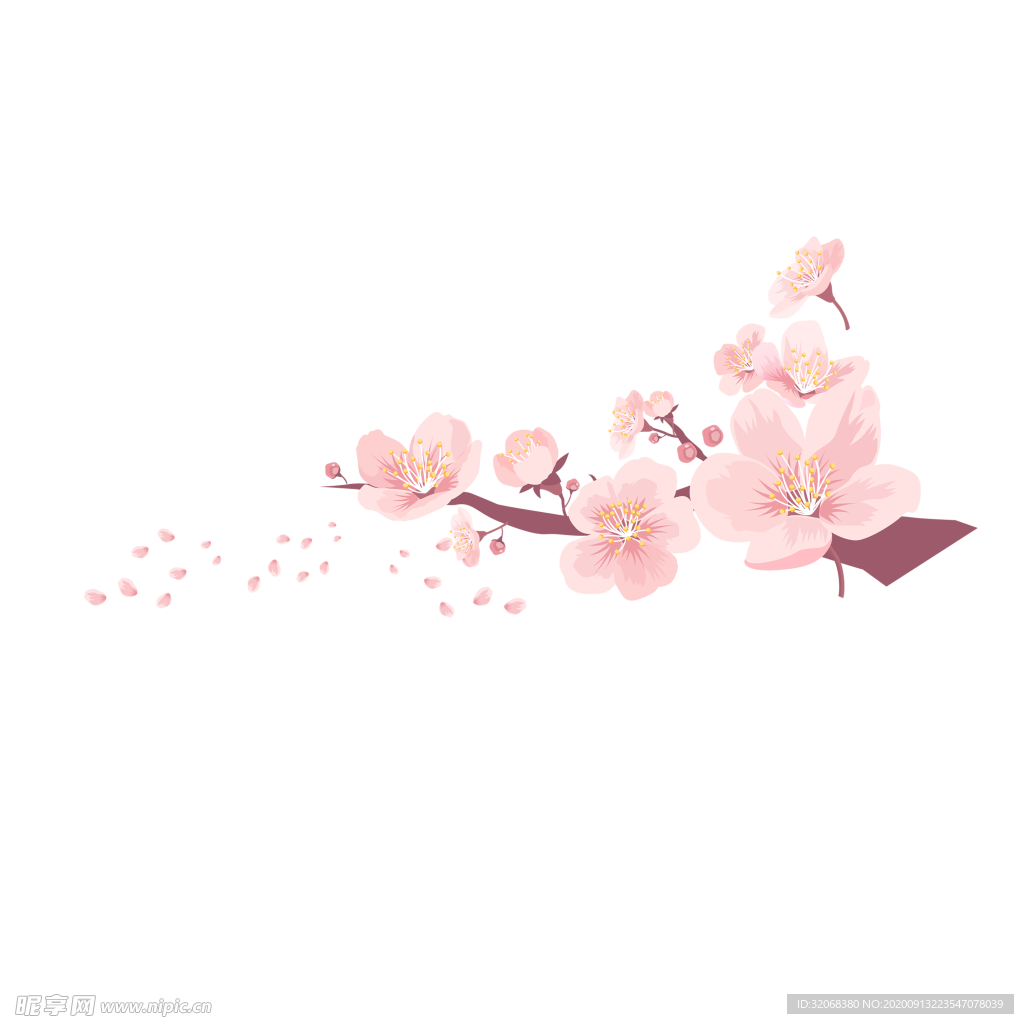 手绘植物花卉