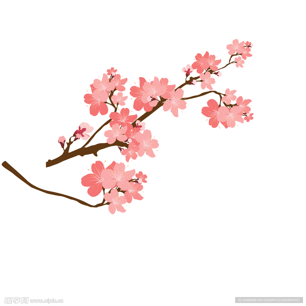 手绘植物花卉