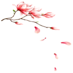 手绘植物花卉