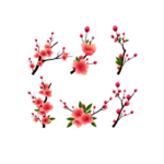手绘植物花卉
