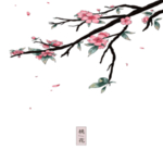 手绘植物花卉