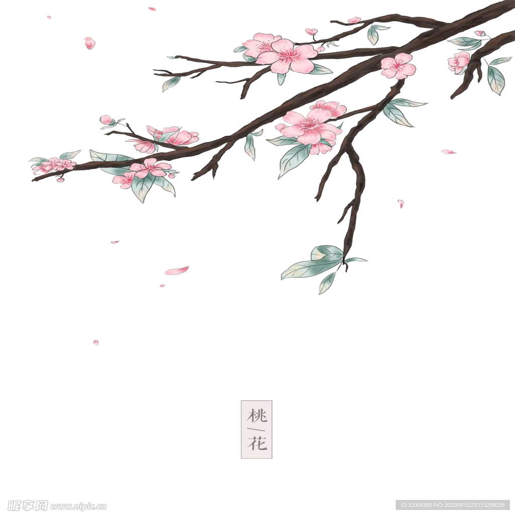 手绘植物花卉