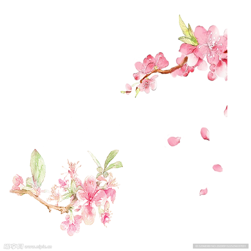 手绘植物花卉