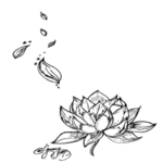 手绘植物花卉