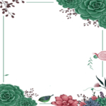 手绘植物花卉