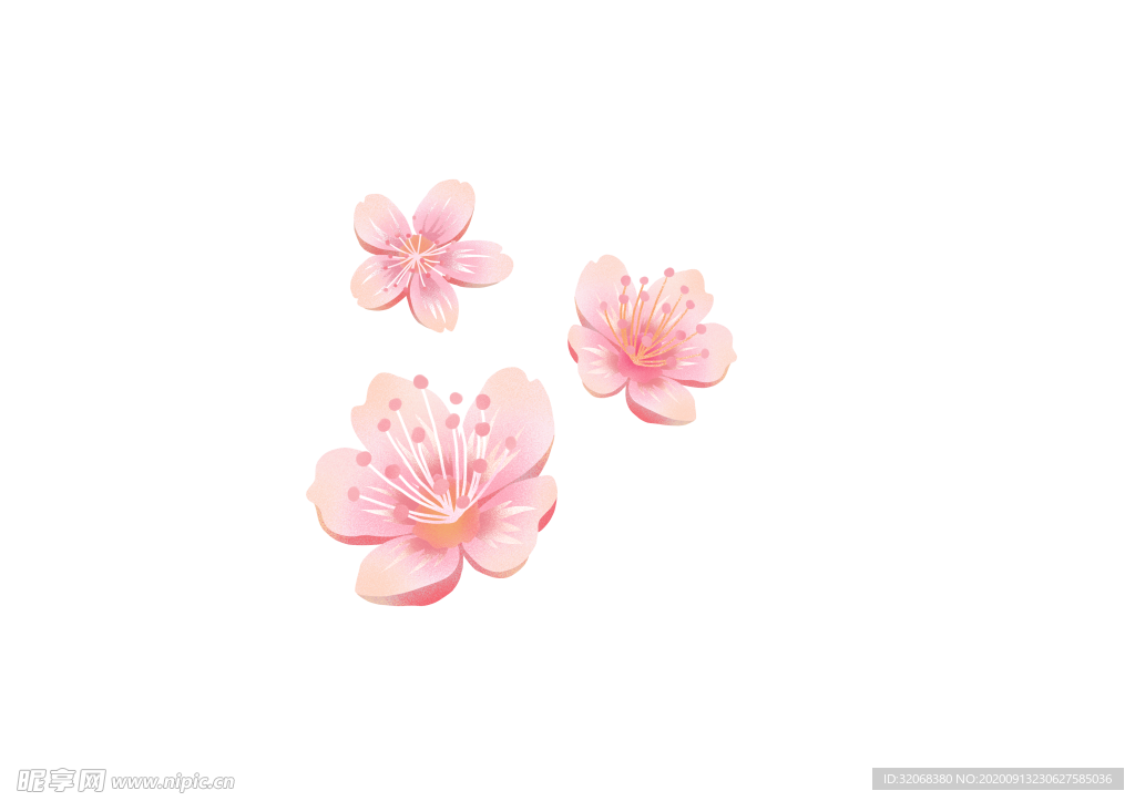 手绘植物花卉