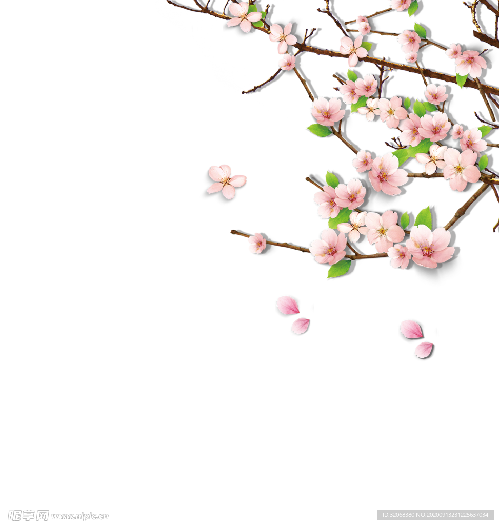 手绘植物花卉