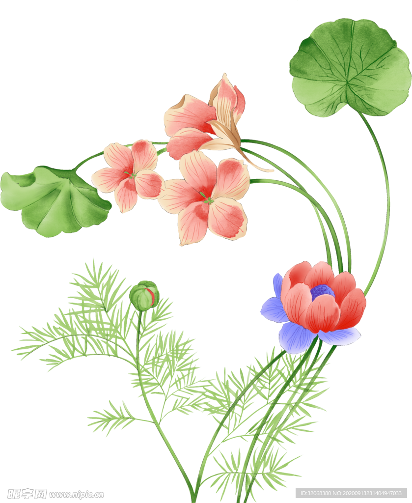 手绘植物花卉