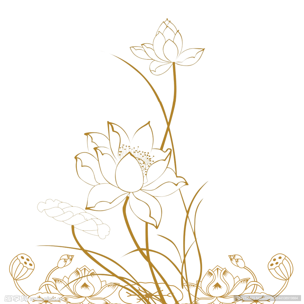 线描荷花