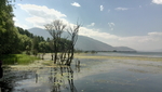 洱海风光