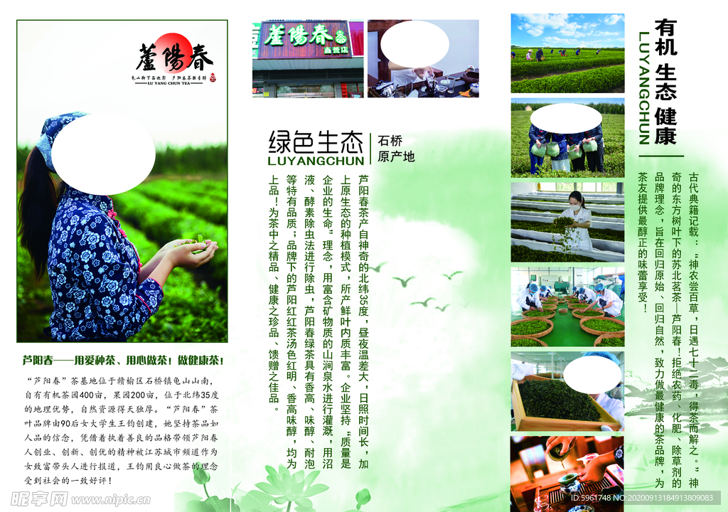 茶叶三折页