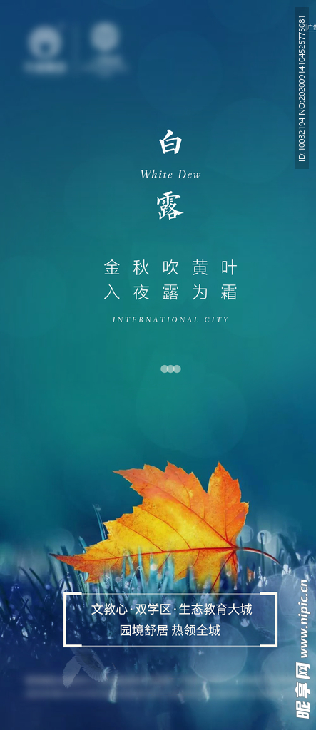 白露
